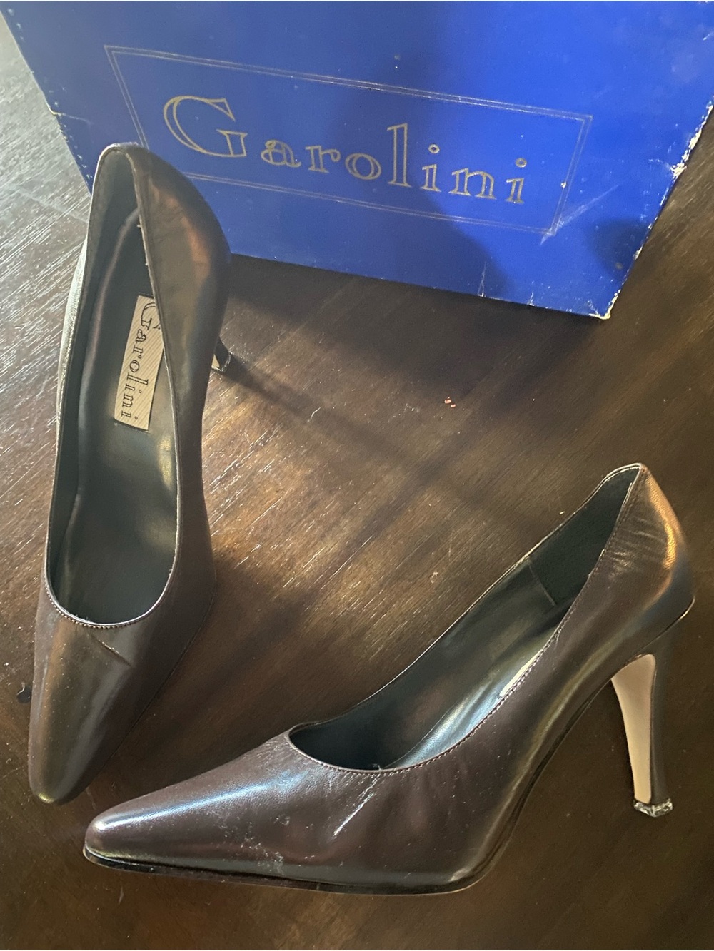 Garolini Brown Pointed-Toe Stiletto Heels